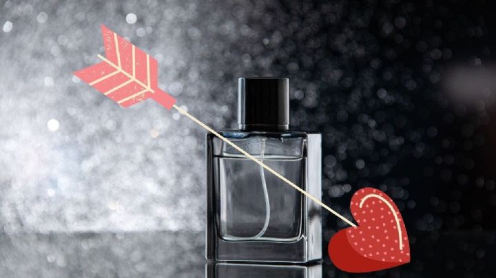 ¿Para qué sirven las feromonas en el perfume y cómo funcionan?