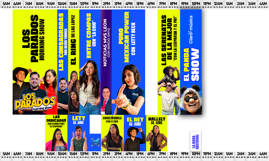 Cuerpo (Programación)