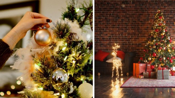 Árbol de Navidad: ¿Cuál es la mejor fecha para ponerlo?