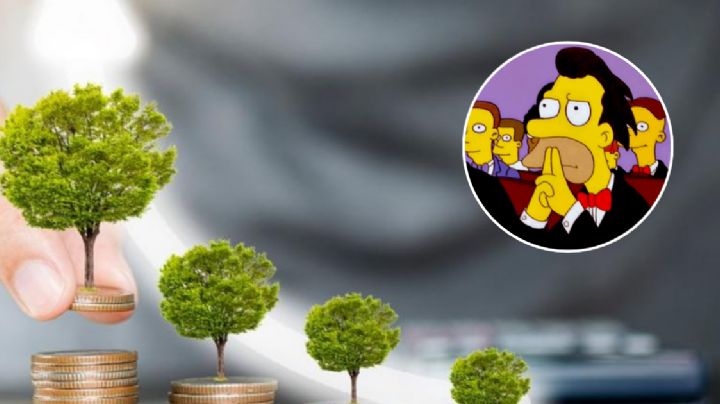 Inversiones en México 2024: Diferencias entre Cetes, Bonos, Udibonos y Bondes