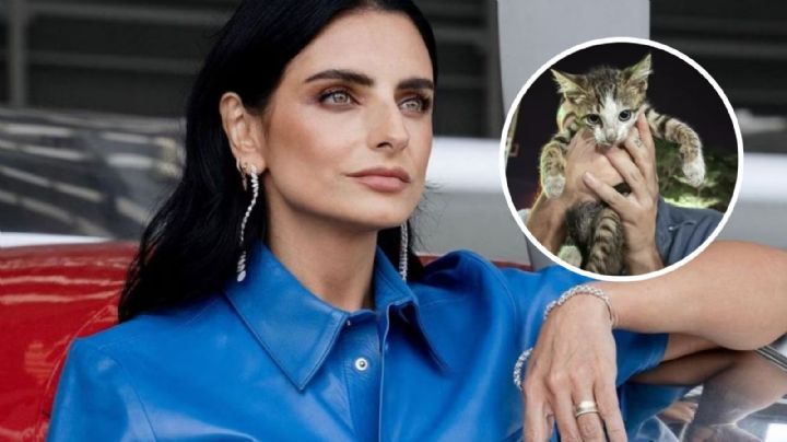 Aislinn Derbez da la bienvenida a nuevo integrante en su familia