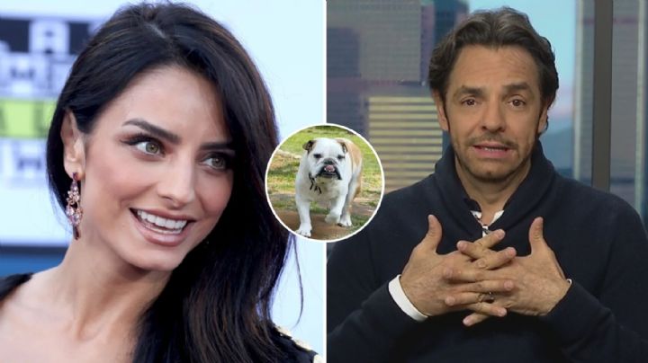 Aislinn Derbez hace llorar a su papá, ¿por qué?