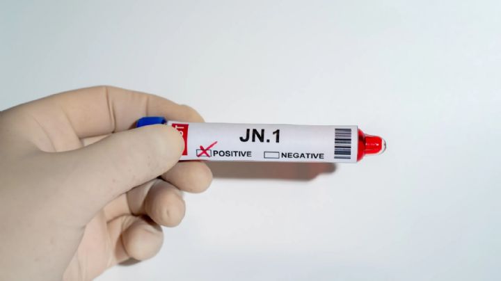 Covid-19, variante JN.1 o Pirola: ¿Cuáles son los síntomas de esta subvariante?