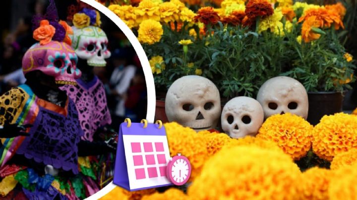 ¿Cuándo y en dónde visitar el jardín de cempasúchil en la Ofrenda Monumental de Día de Muertos 2024?