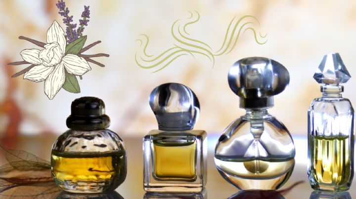 Notas de Salida, de Corazón y de Fondo, ¿Qué son y porqué son importantes en un perfume?