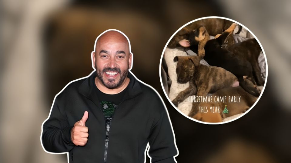 Lupillo Rivera adopta perritos de la calle