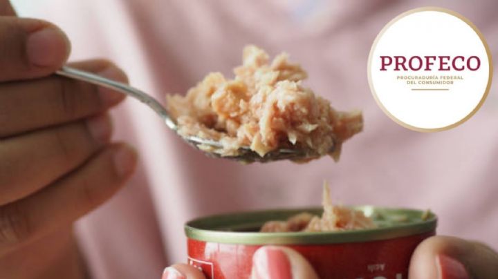 ¿Es dañino para la salud comer atún todos los días? Esto dicen los expertos