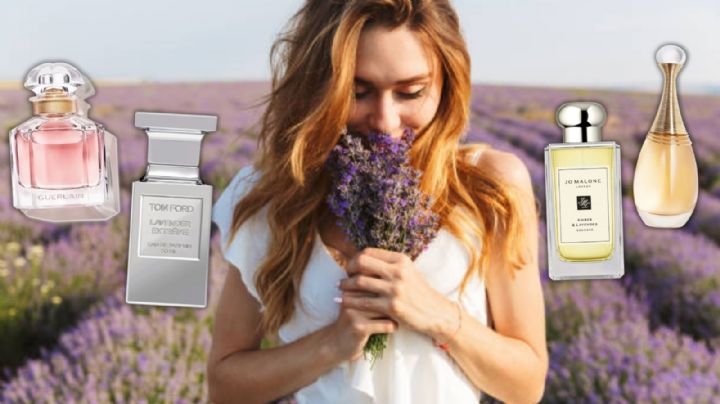 5 Perfumes de Lavanda para mujer que te enamorarán