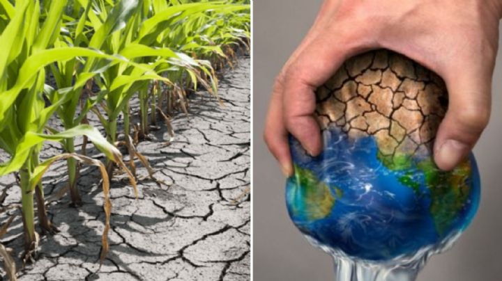 ¿Qué es el estrés hídrico en México? Estas son las grandes afectaciones por escasez de agua