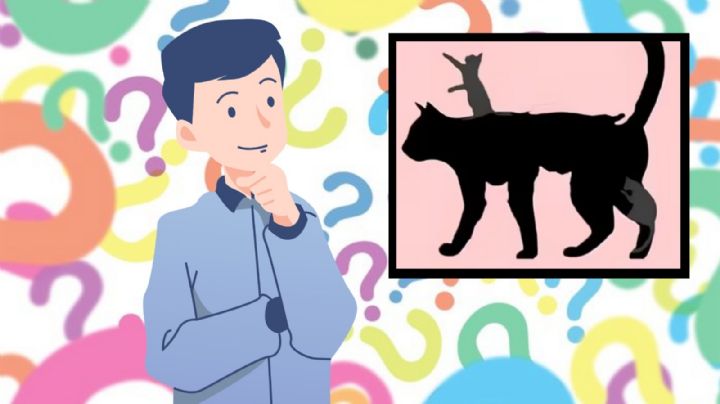 Descubre cuántos años tienes mentalmente, según el número de gatos que ves | Test visual | MÉXICO