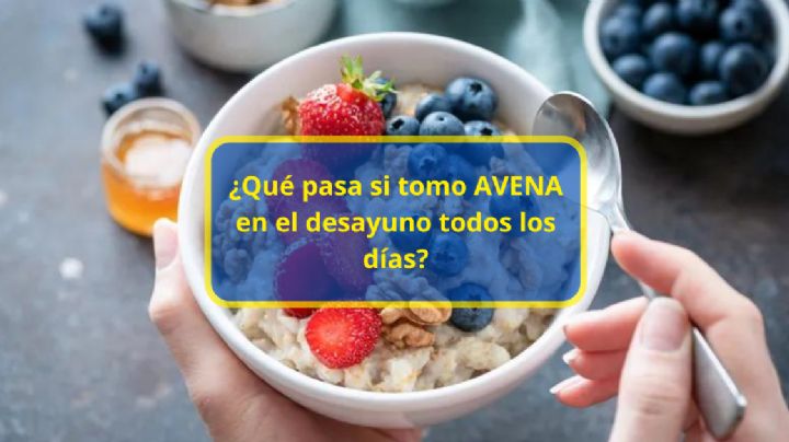 ¿Qué pasa si tomo avena en el desayuno todos los días? Esto dice la ciencia