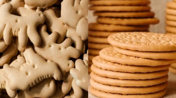¿Animalitos o Marías? Las mejores galletas para consumir según la Profeco