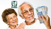 Pensiones IMSS: ¿Qué tipos hay y cuál me corresponde?