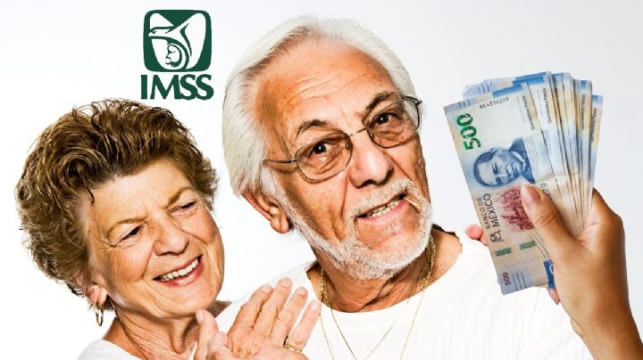 Pensiones IMSS: ¿Qué tipos hay y cuál me corresponde?