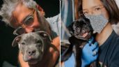 Foto ilustrativa de la nota titulada Los perros más famosos del Regional Mexicano