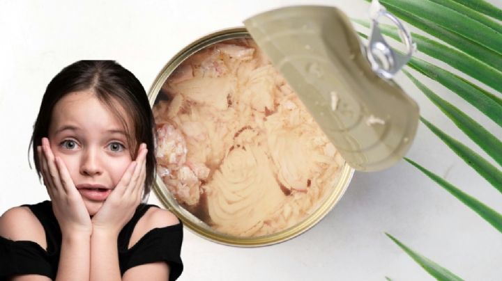 ¿Sabes cómo se hace el atún en lata? Conoce sus ingredientes