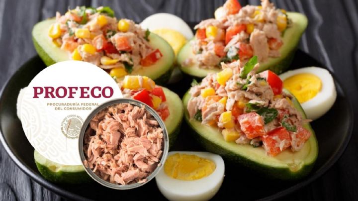 Profeco: 5 platillos con atún que te sacarán de apuros esta cuaresma