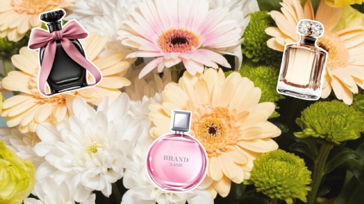 El MEJOR perfume para usar con el calor y recibir miles de cumplidos