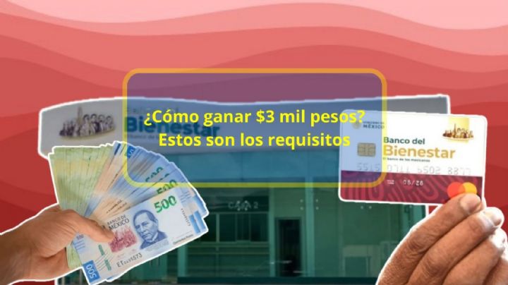 Bienestar dará más de $3 mil pesos a jóvenes menores de 29 años; Estos son los requisitos