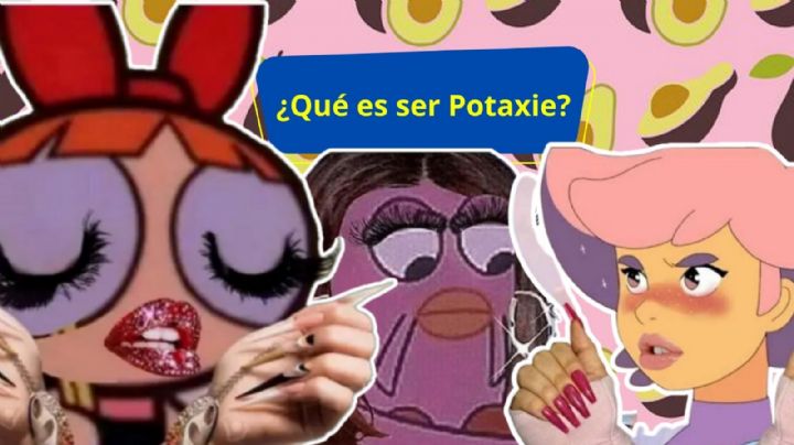 Potaxie: ¿Qué significa este término utilizado por la chaviza?
