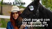 Elena Larrea: ¿Qué sucederá con todos los caballos de Cuacolandia tras su fallecimiento?