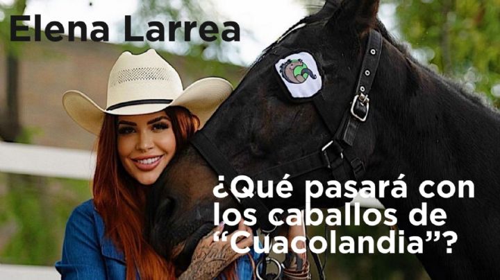Elena Larrea: ¿Qué sucederá con todos los caballos de Cuacolandia tras su fallecimiento?