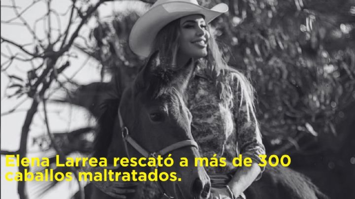 Elena Larrea: Estos fueron los rescates más polémicos de la activista