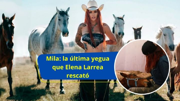 Mila fue la última yegua que Elena Larrea rescató, antes de fallecer a los 31 años