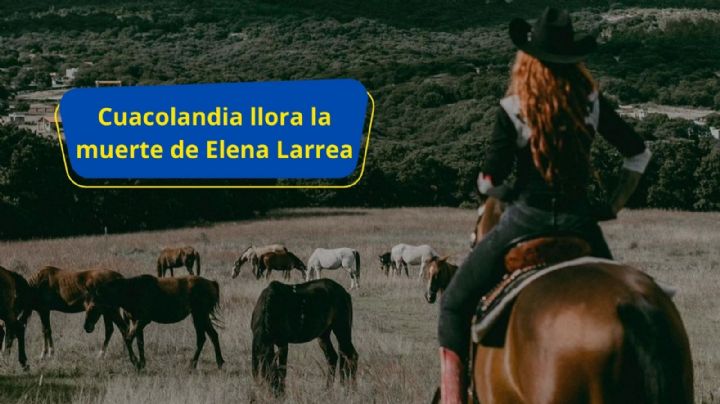 Elena Larrea: Caballos sufren y lloran la muerte de su protectora