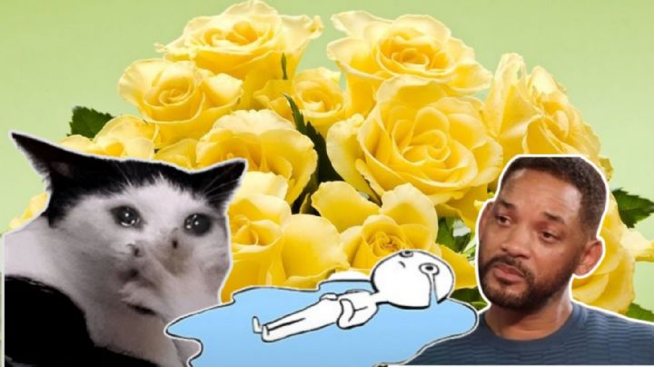 ¿Desprecio o traición? Esto significa del color amarillo en una rosa