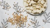 ¿Qué es la soya y para qué sirve? Conoce sus beneficios y usos
