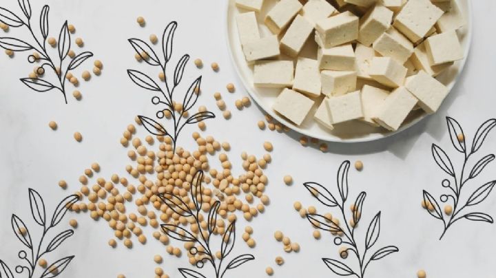 ¿Qué es la soya y para qué sirve? Conoce sus beneficios y usos