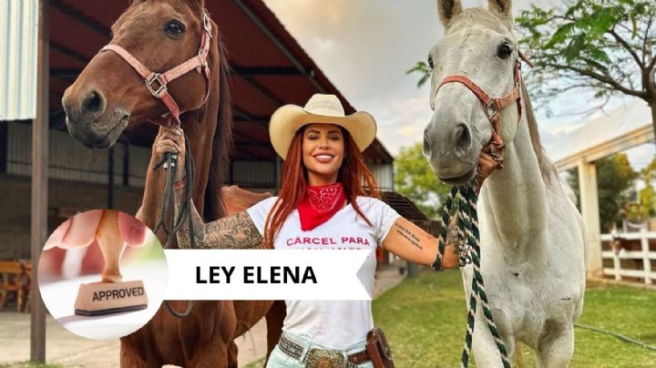 Elena Larrea: El mejor homenaje para la activista, entra en vigor la ‘Ley Elena’