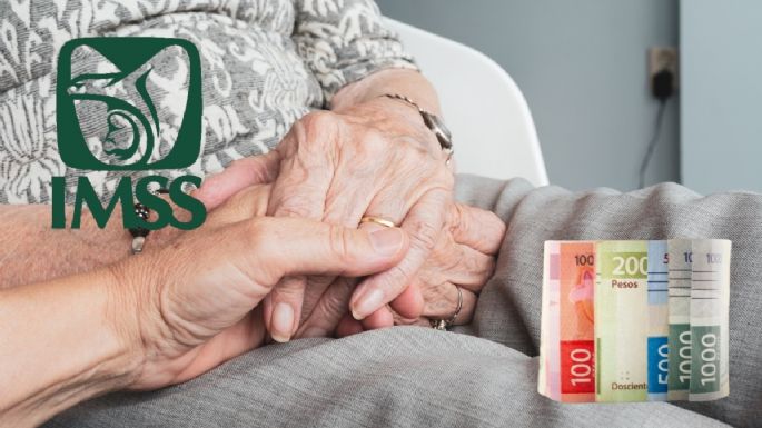 ¿Cuáles son las desventajas de la Modalidad 40 del IMSS?