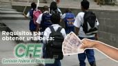 Foto ilustrativa de la nota titulada CFE otorga becas a estudiantes que cumplan estos requisitos