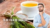 ¿Cuáles son los beneficios del té de cola de caballo?