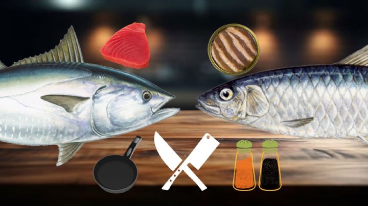 ¿Qué es más saludable el atún o sardina? Esta es la mejor opción para tu salud