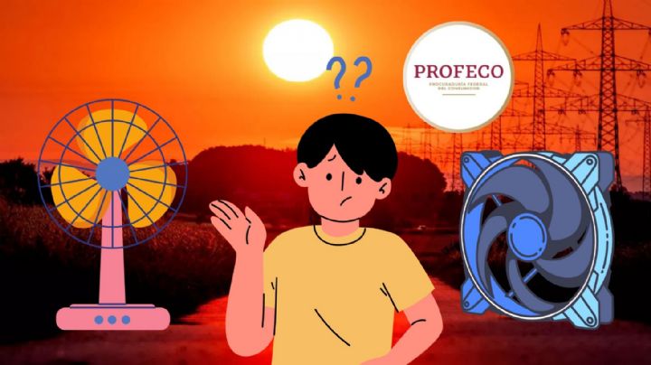 ¿Cuáles son los MEJORES ventiladores según la Profeco? Estos son los más recomendados