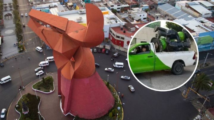 Rescatan a las Ranas de Acapulco ¡Estaban en NEZA!