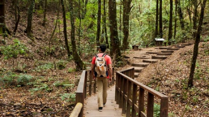 Actividades en el Bosque de Chapultepec abril 2024: Clases de salsa GRATIS, conciertos y rodadas