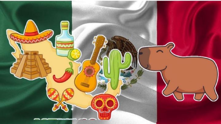 ¿Por qué se dice que México es la Capibara del mundo? Te contamos