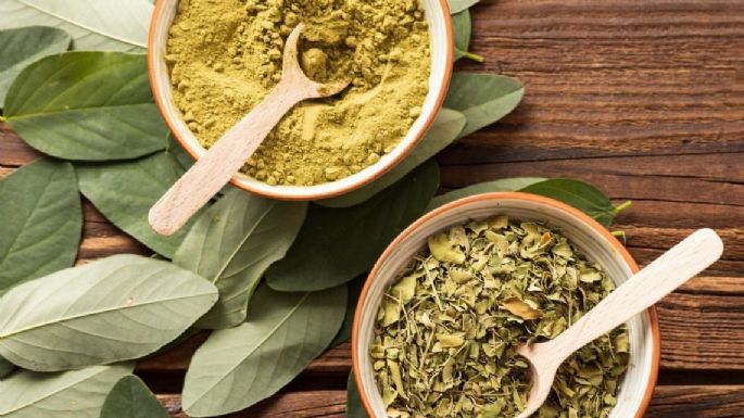 ¿Qué es y para qué sirve la moringa? Estos son sus efectos y beneficios para la salud