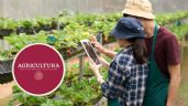 Foto ilustrativa de la nota titulada ¿Quieres GANAR más de 150 MIL pesos al mes? Secretaría de Agricultura abre vacante; estos son los requisitos