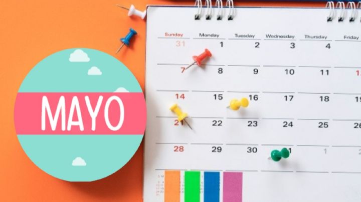 Días festivos de mayo 2024: ¿cuáles son, y en qué fechas caen los puentes?