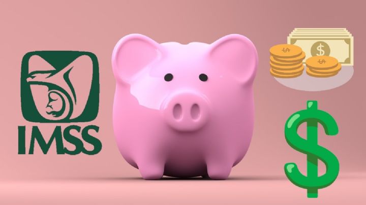Pensión IMSS: ¿Cuáles son los beneficios de la Ley 73?