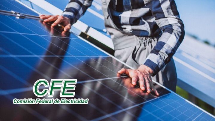 ¿Cómo pedir un panel solar GRATIS a la CFE? Este es el paso a paso
