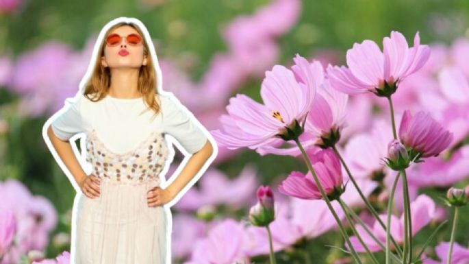 El perfume para mujer que usan las francesas y se vende cada 5 minutos en todo el mundo