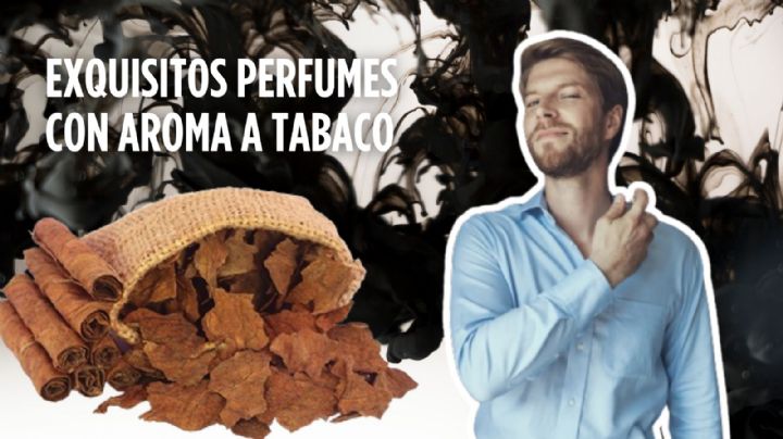 Los MEJORES perfumes para hombre en esta primavera 2024: ¡Con olor a tabaco!