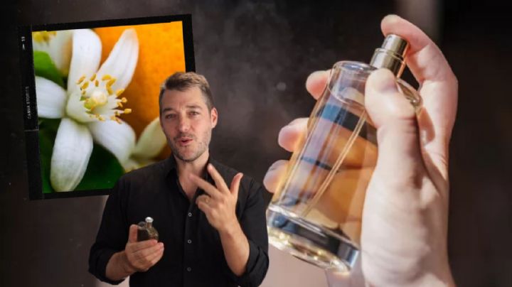 Los mejores perfumes para hombre con esencia relajante: ¡Seducen a cualquiera!