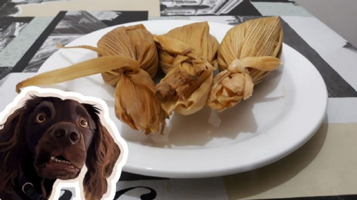 ¿Qué es el tamal de cabecita de perro y como prepararlo?